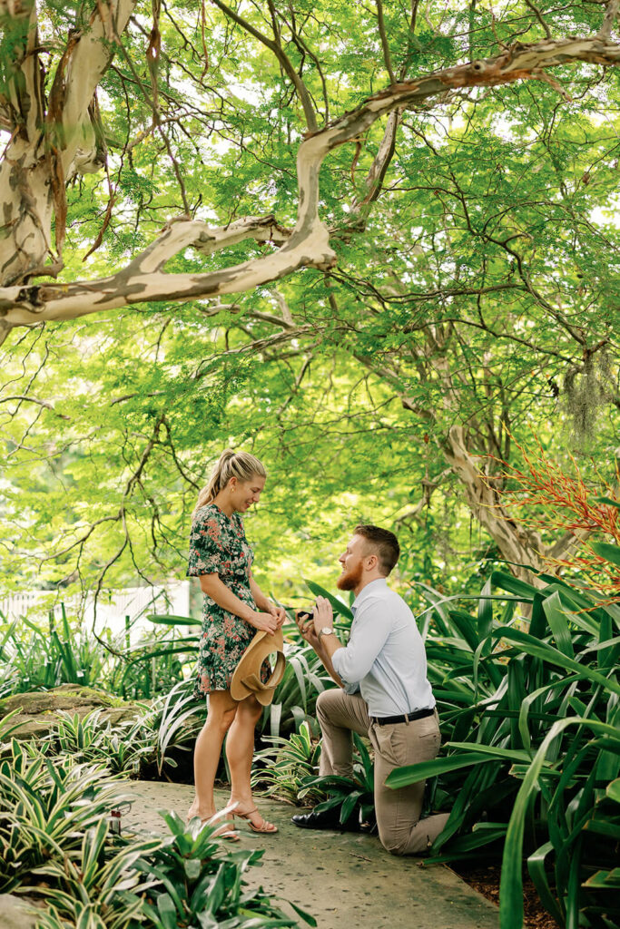 proposal photos at Naples botanical garden