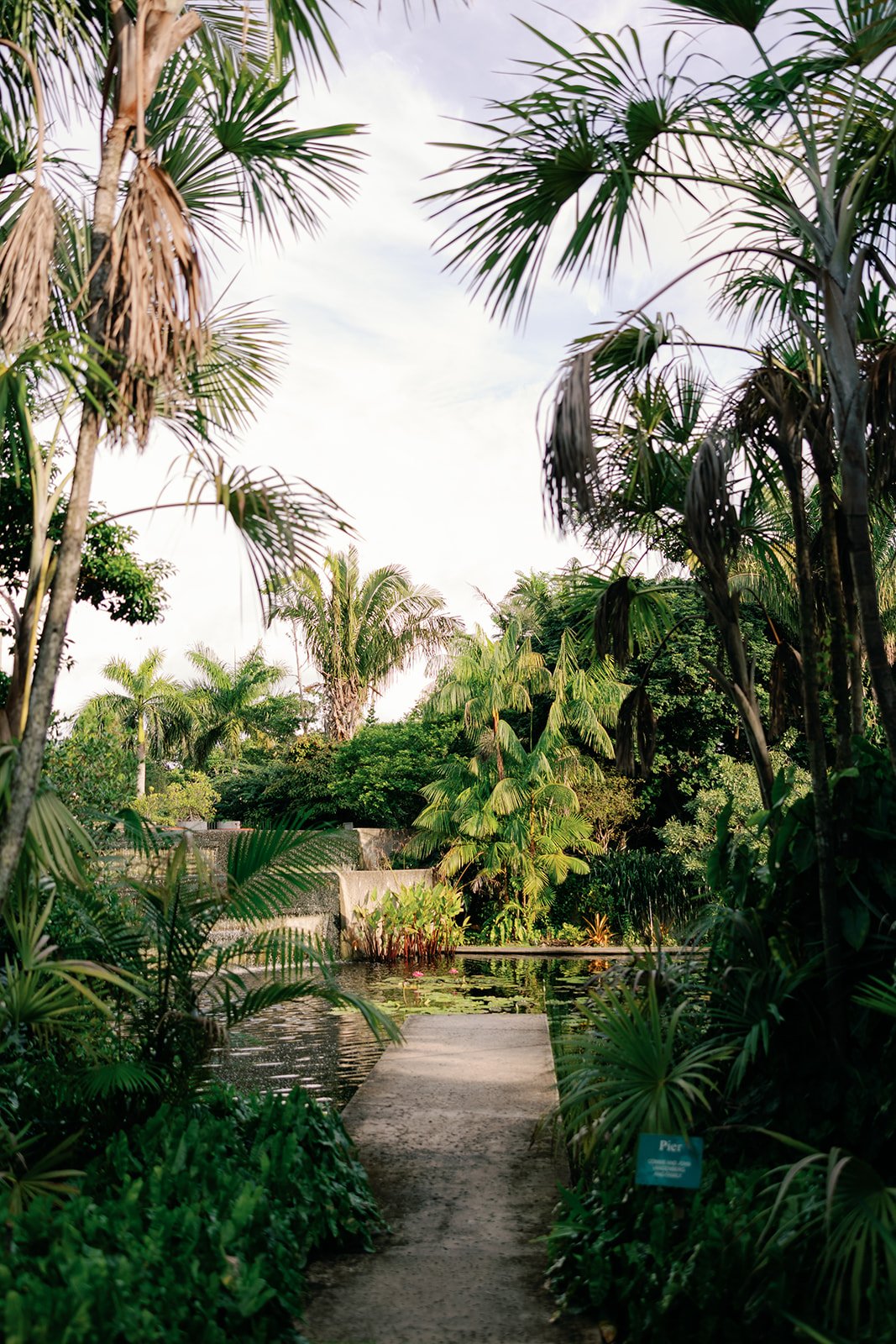 Best restaurants in Southwest Florida | Proposal session at Naples Botanical Gardens