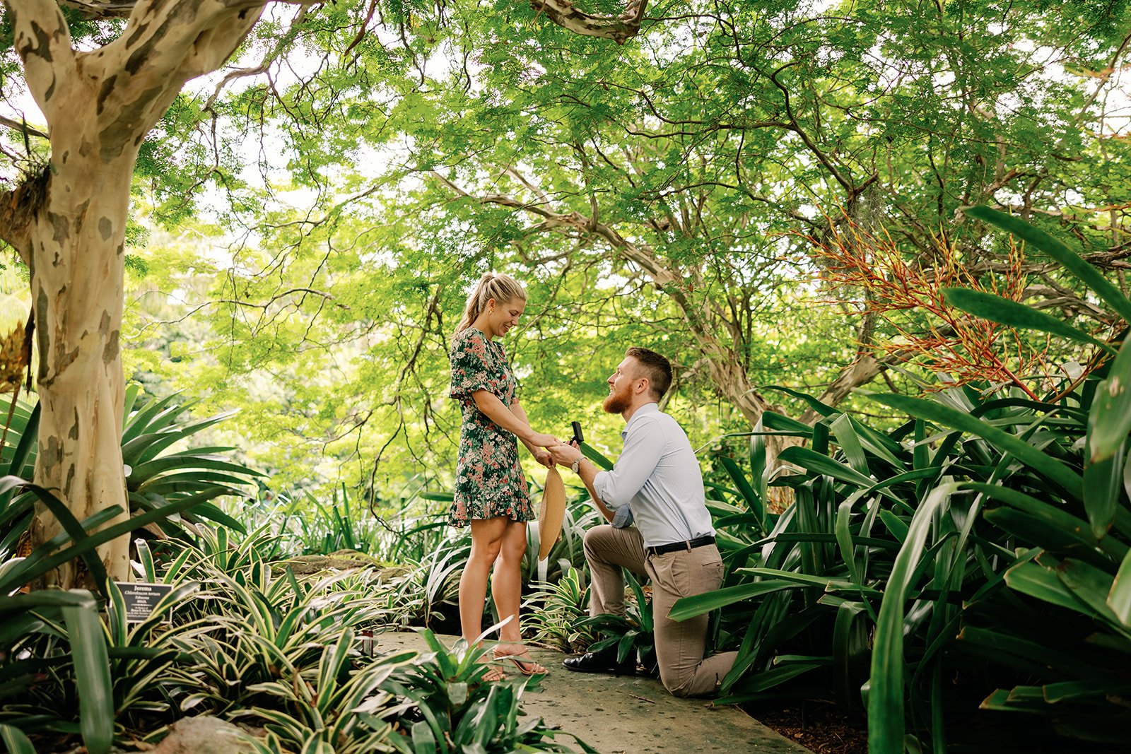 Best restaurants in Southwest Florida | Proposal session at Naples Botanical Gardens