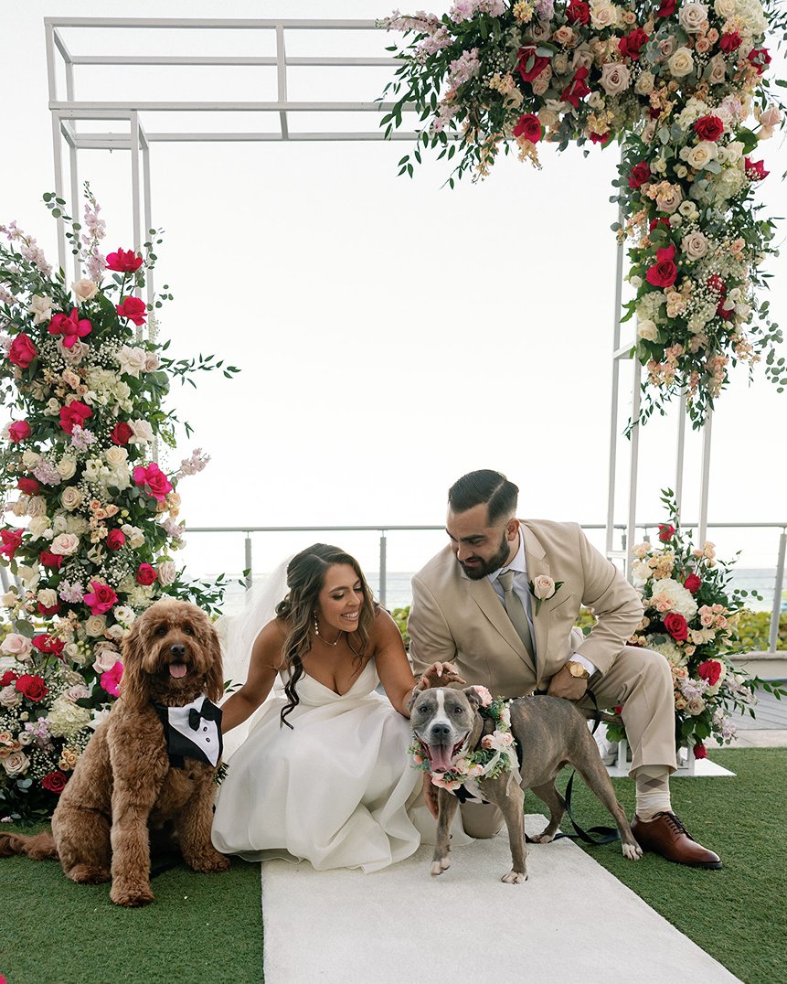 the bride and groom at their marriott harbor beach wedding with their two dogs