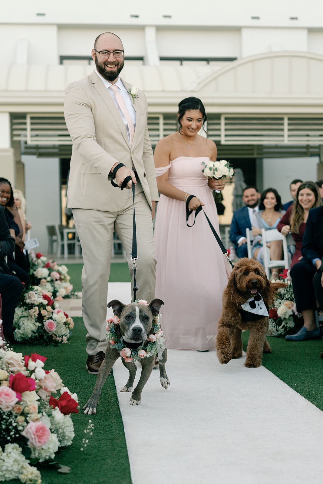 the two puppies walking down the aisle at the marriott harbor beach wedding