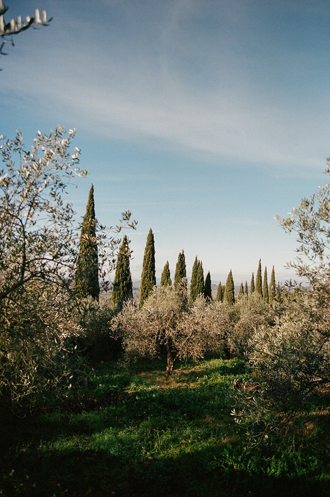an ​antica fattoria paterno wedding